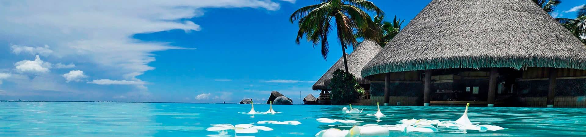 Car Rental In Cancun